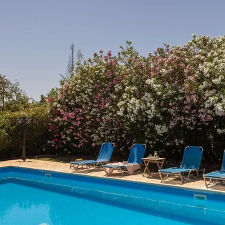 Tsikkos Pende 别墅 阿尔加卡